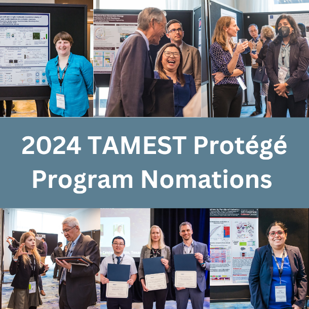 2024 TAMEST Protégé Program Nominations