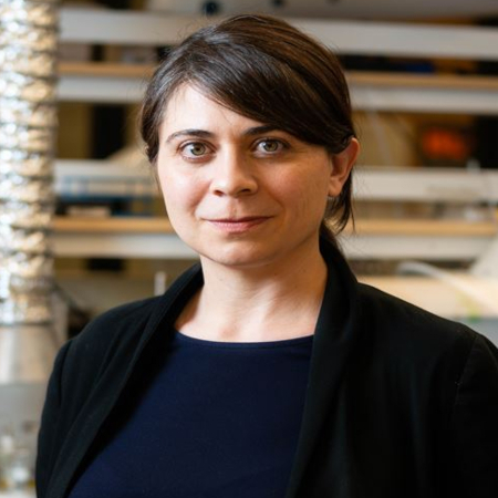 Desirée Plata, Ph.D.