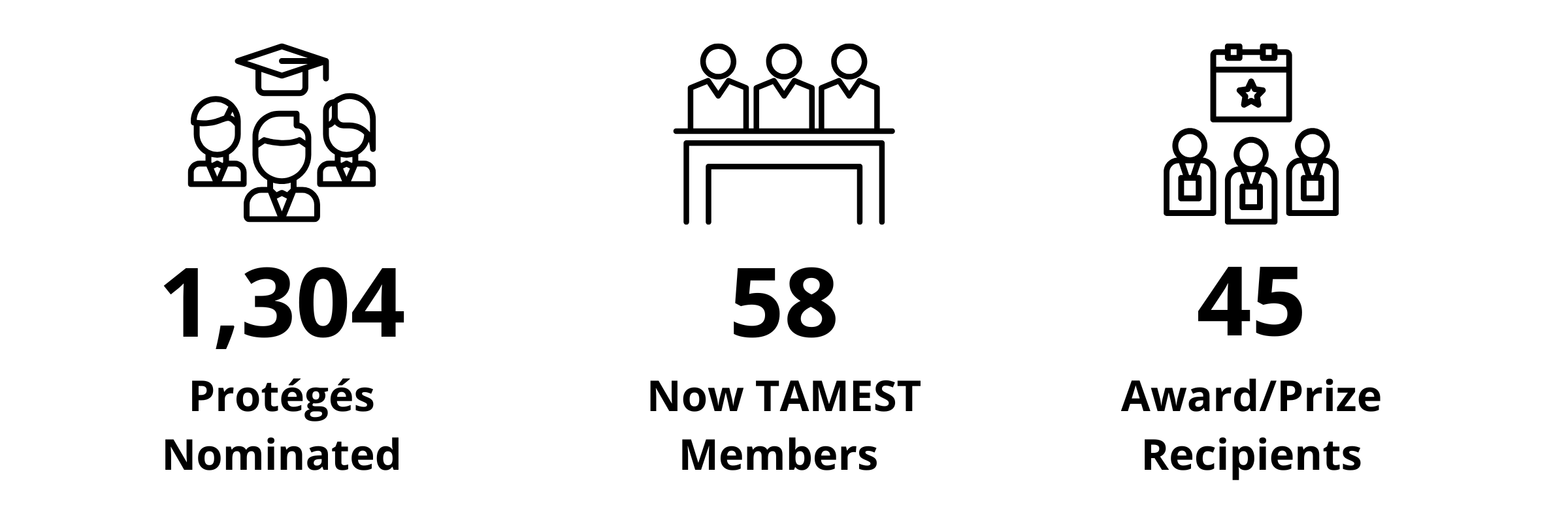 TAMEST Protégé Program Statistics