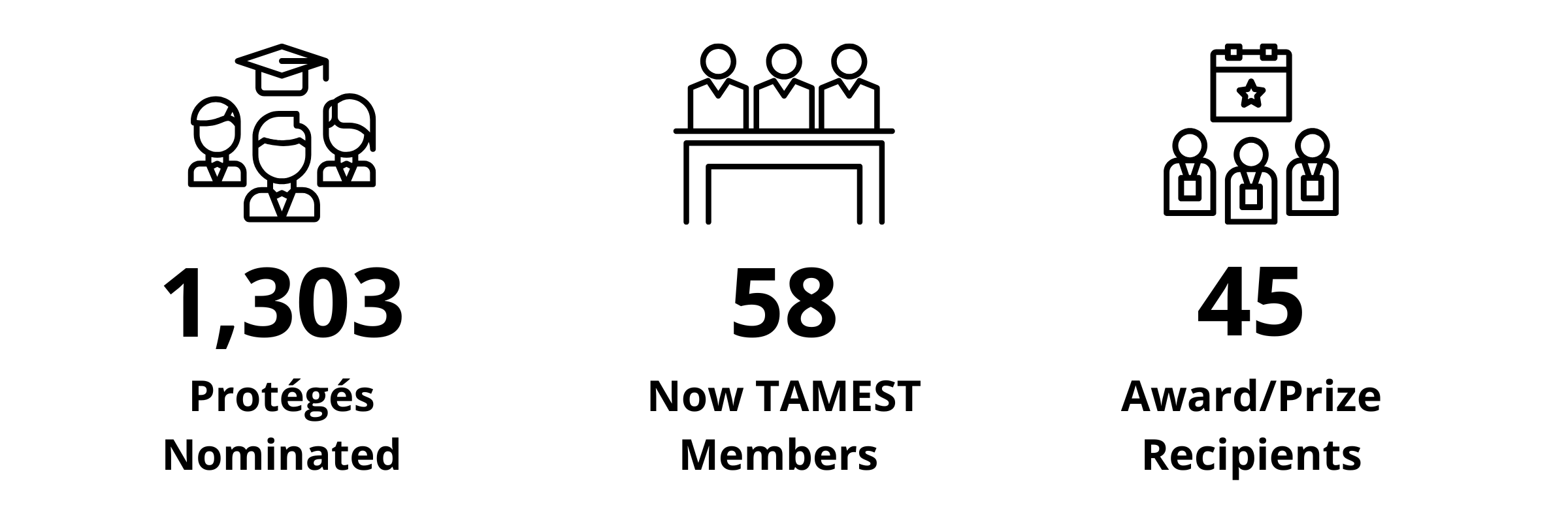 TAMEST Protégé Program Statistics
