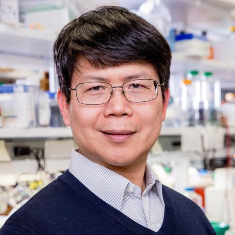 Zhijian “James” Chen, Ph.D. (NAM, NAS, FRS)