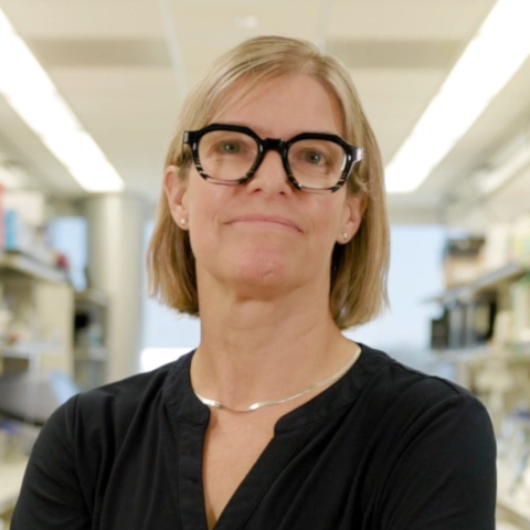 Jennifer Wargo, M.D.